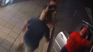 Ужас в Харманли: С колове и бухалки пребиха Желязко ВИДЕО 18+