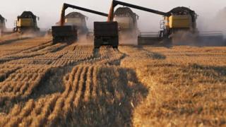 Илия Проданов: Протестите на земеделците не са лобизъм, а борба за оцеляване