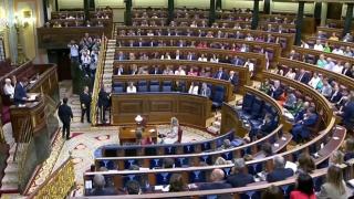 Езиците на малцинствата взривиха парламента във...