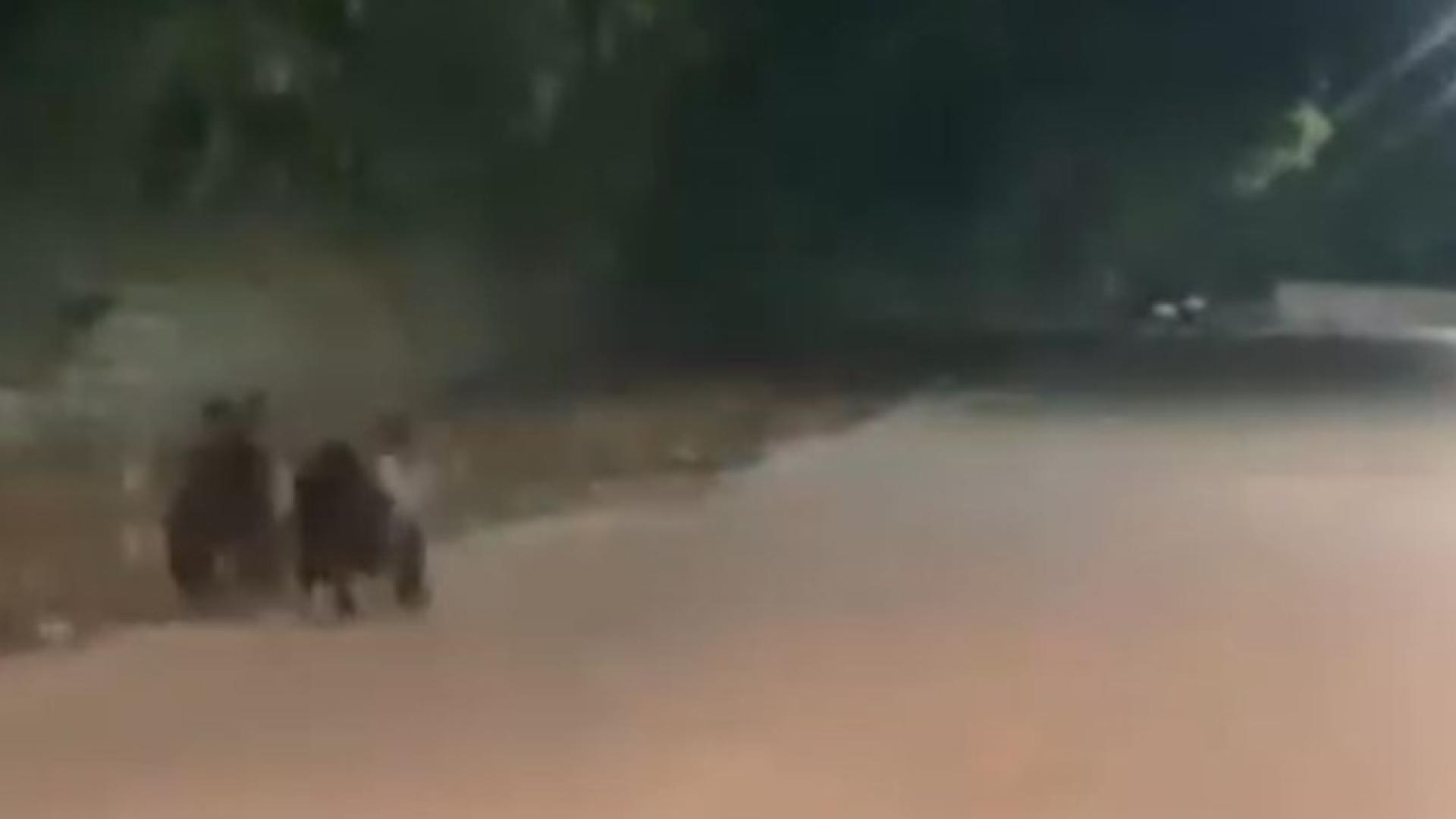 Жена видя тази гледка в софийско градче и веднага попита: Коя институция да потърсим ВИДЕО