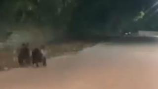 Жена видя тази гледка в софийско градче и веднага попита: Коя институция да потърсим ВИДЕО