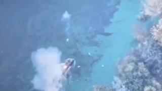 ВИДЕО от войната: Одеските гвардейци унищожиха моторна лодка с руснаци в Днепър