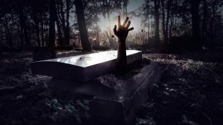 Мъж извърши престъпление, докато се готвеше за зомби апокалипсис: Хванаха го