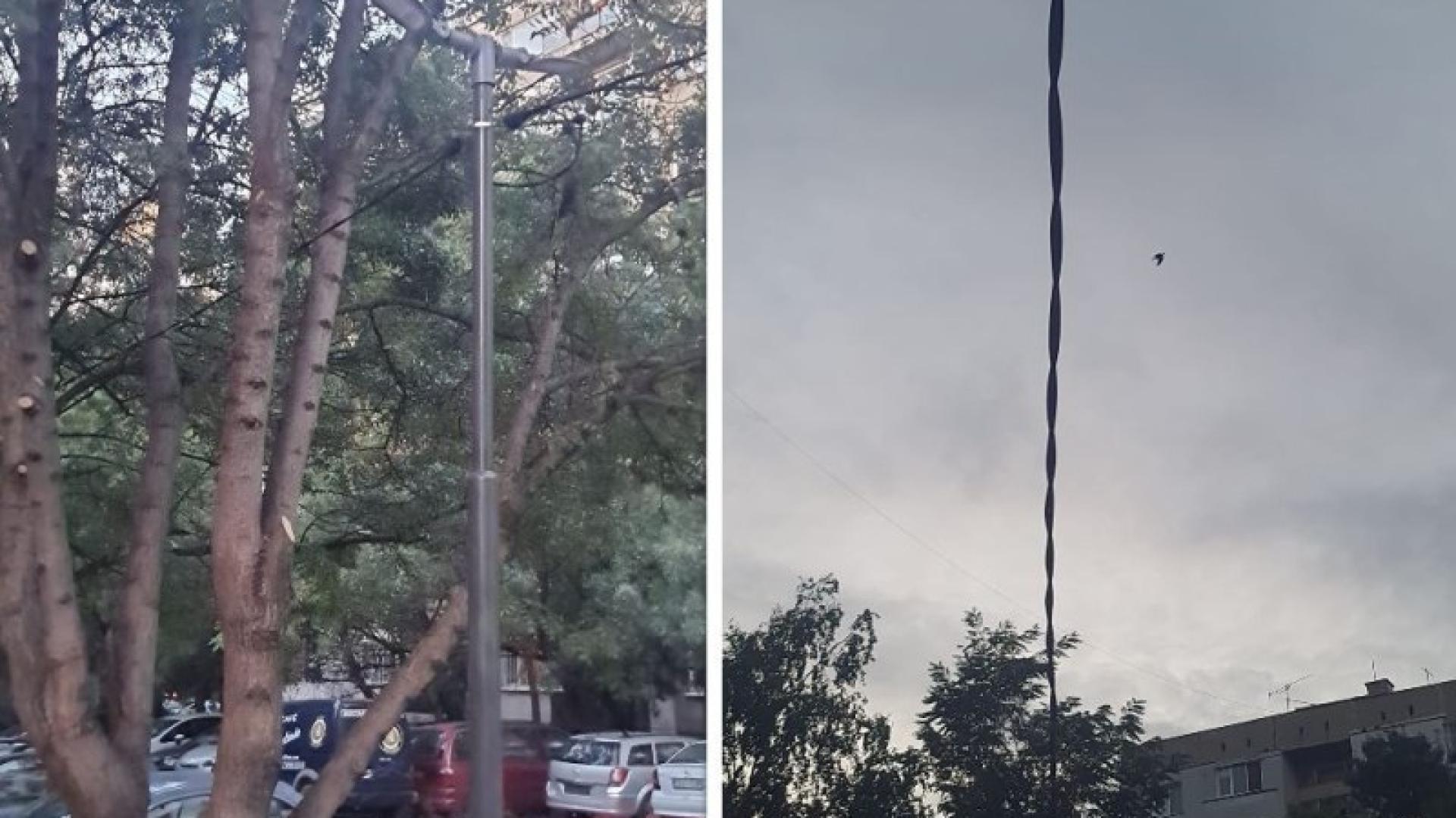 Столичанин взриви мрежата с пост за мурдарщина, кабели и лампи СНИМКИ