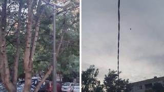 Столичанин взриви мрежата с пост за мурдарщина, кабели и лампи СНИМКИ