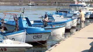 Рибарите по морето потриват доволно ръце, готвят се за голям урожай 