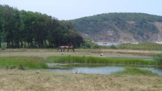 Грозно! Ето какво направиха в най-големия природен парк у нас СНИМКА