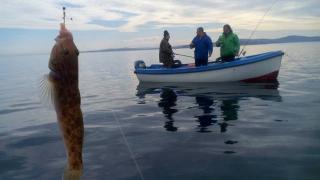 Рибарите в Бургаско в паника, хищник им обърка яко сметките 