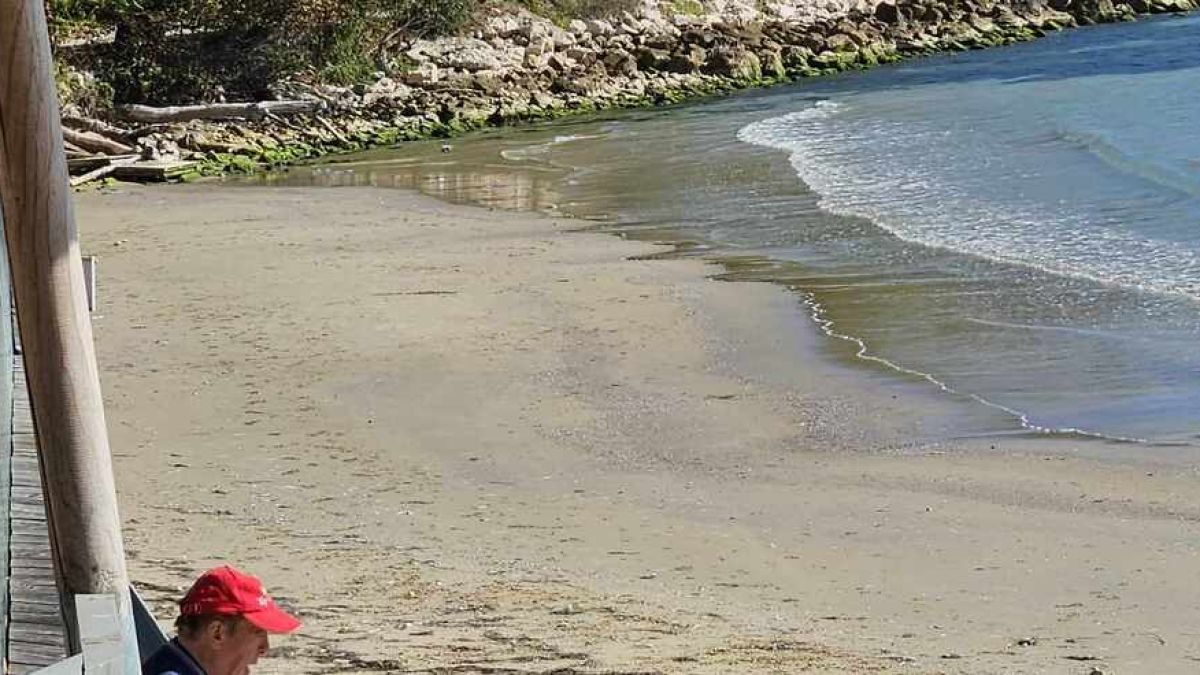 Във Варна се случи чудо, невиждано от 20 години насам СНИМКИ 