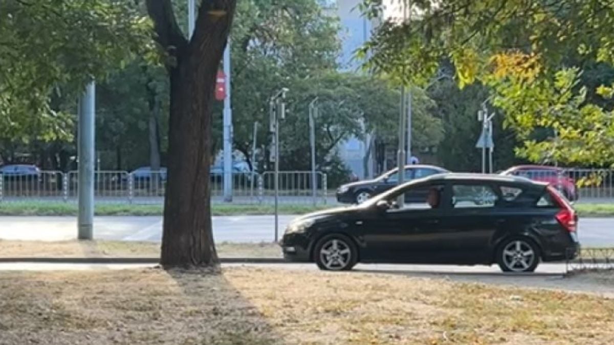 Нагъл шофьор втрещи пловдивчани! Качи се на тротоара и...ВИДЕО 