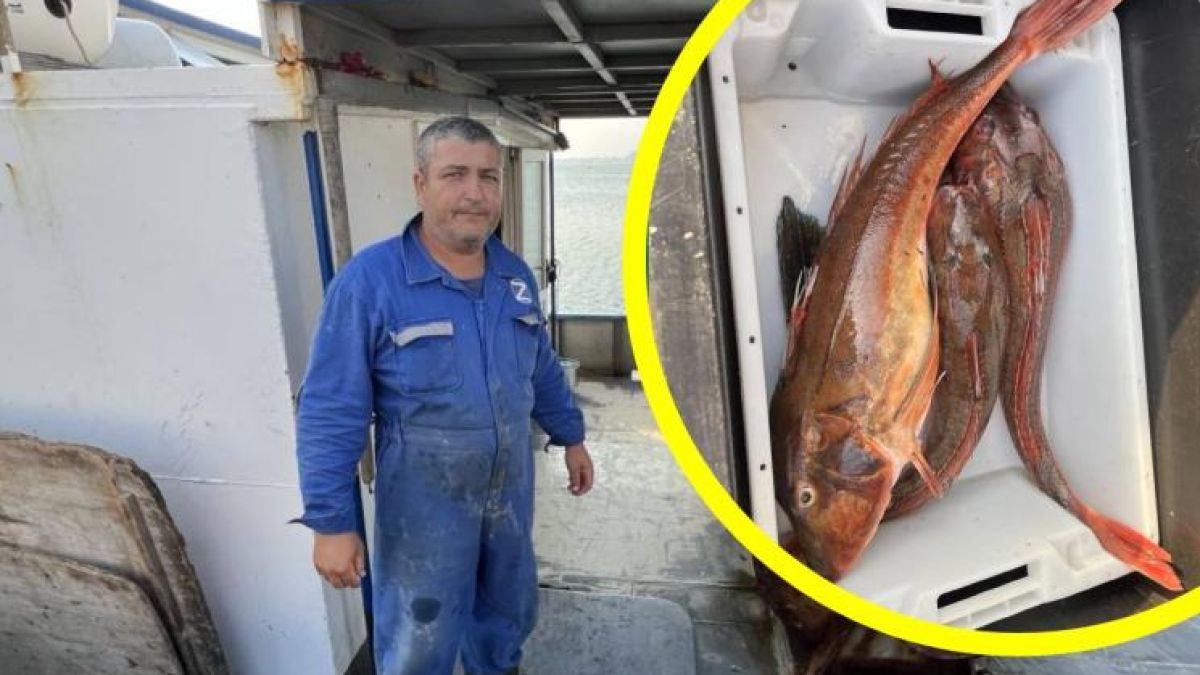 Колекционер се сдоби с ценен трофей от Черно море СНИМКА 