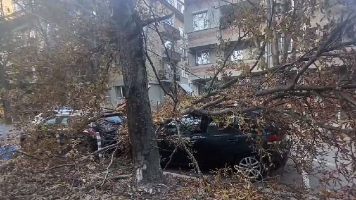 Неописуем ужас в квартала на богатите  ВИДЕО 