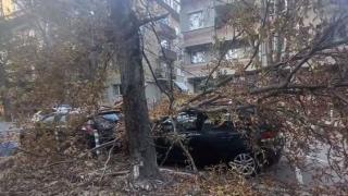 Неописуем ужас в квартала на богатите  ВИДЕО 