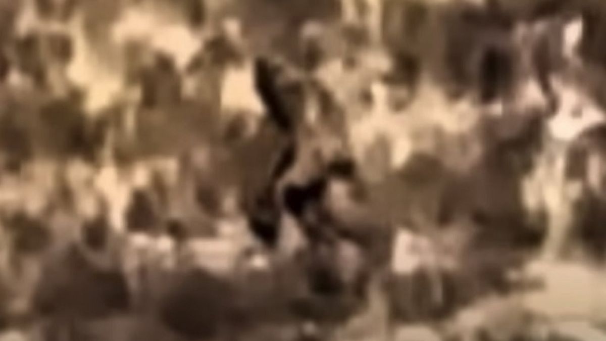 Голямата стъпка е видяна през прозореца на влака във... ВИДЕО