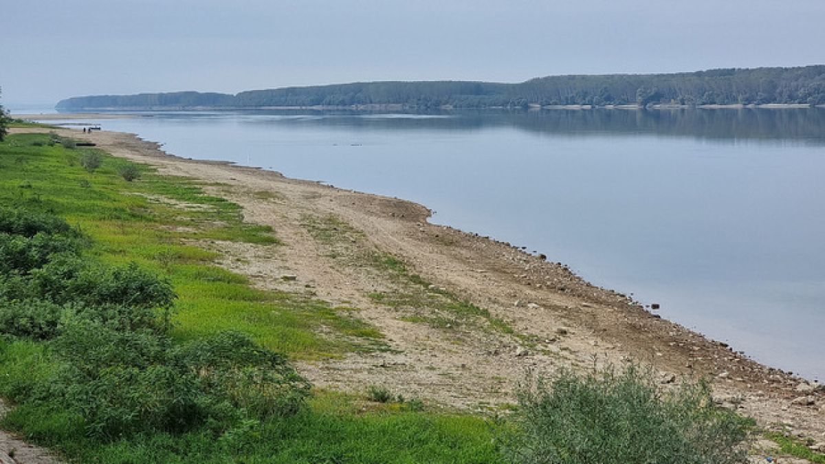 Нещо невиждано се показа от Дунав, край Лом е