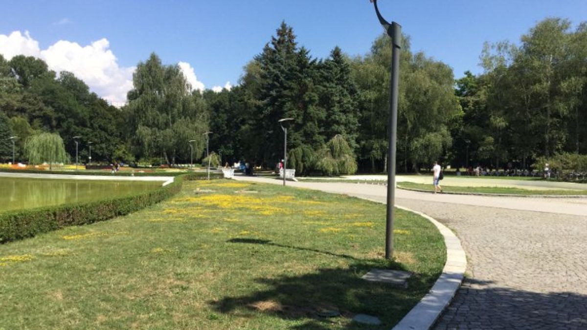 Столичанин събра погледите в Южния парк ВИДЕО