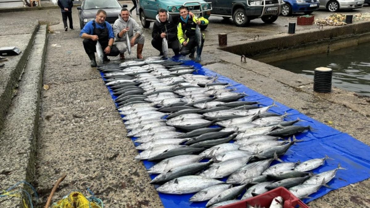 Рибарите не вярват на очите си: Морето завря от паламуд, свети Никола ни върна надеждата 