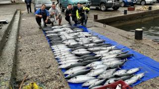 Рибарите не вярват на очите си: Морето завря от паламуд, свети Никола ни върна надеждата 