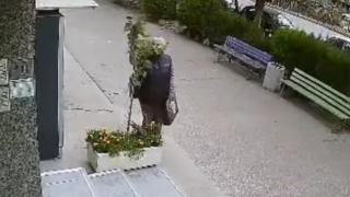 Възрастна пловдивчанка стана за резил, какви ги свърши на улицата ВИДЕО 