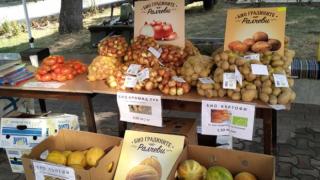 Магазин без касиер в Пловдив ошашави всички 