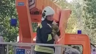 Пожарникар смая пловдивчани, такова нещо се вижда само по филмите СНИМКИ