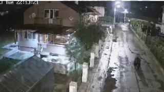 Свиреп звяр обикаля радомирско село, местните чакат... СНИМКИ 