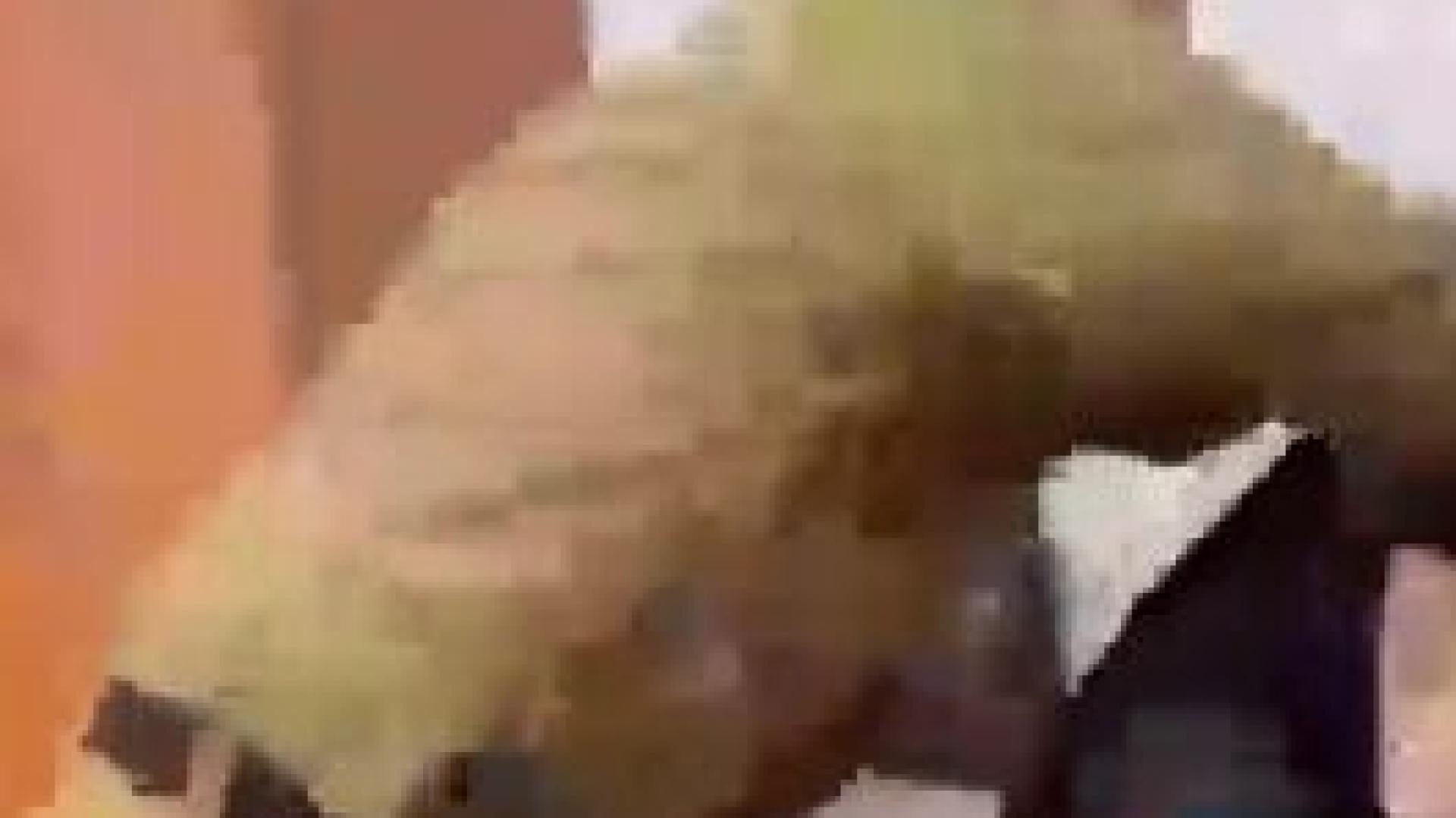 След зверството над Никита: Кадиров-младши получи много...ВИДЕО