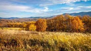 Урок по история: Разбойничеството в Източна България след Освобождението