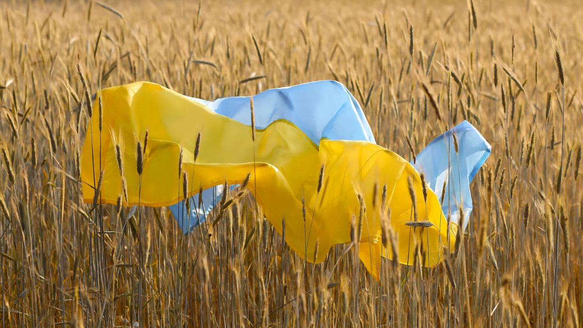 Зърнопроизводители бият тревожни камбани: Украински слънчоглед се внася у нас като румънски
