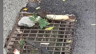 Страшна напаст плъзна из столичните улички, ще пищите от тези космати... СНИМКИ