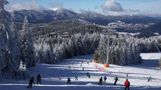 Скиор преследва вълк на пистата, но сега ще си има проблеми ВИДЕО