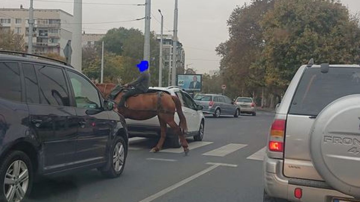 Пловдив заприлича на Дивия запад и тези СНИМКИ с дете и кон го доказват