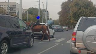 Пловдив заприлича на Дивия запад и тези СНИМКИ с дете и кон го доказват