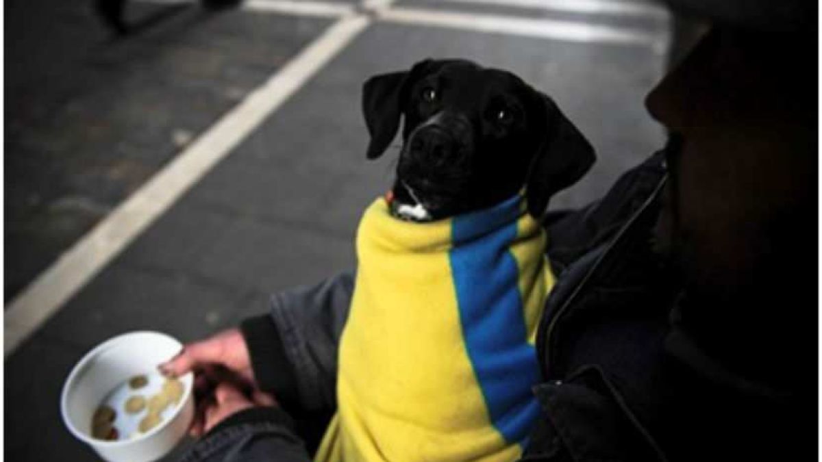 В Германия масово се множат бездомните украинци