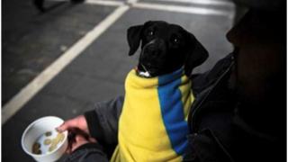 В Германия масово се множат бездомните украинци