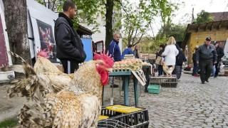 Извънредна ЗАПОВЕД от БАБХ: Забраниха ето тези пазари!