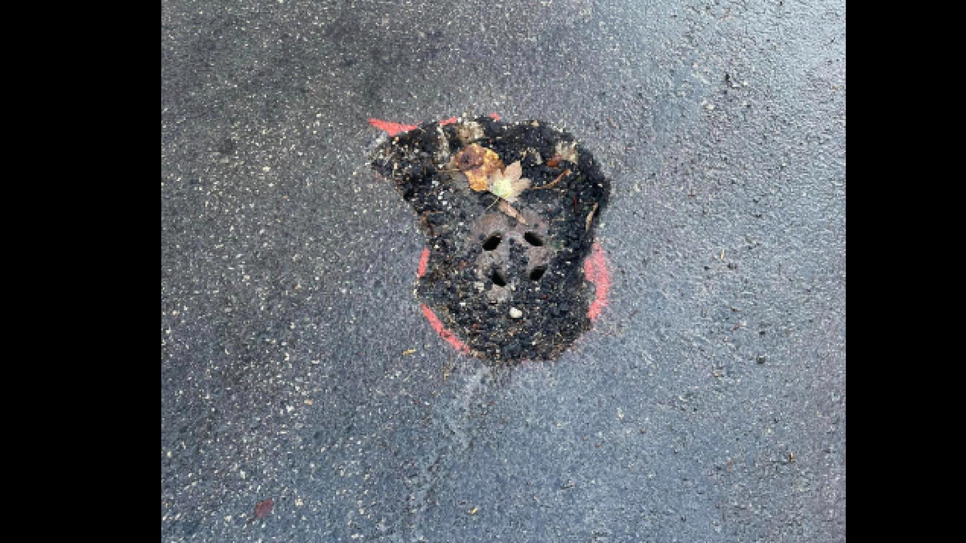 Цялата мрежа пламна след тези СНИМКИ от Варна