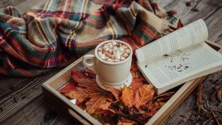 Тази новина секна четенето на книги при жените