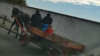 Пловдивчани гледат и не вярват на очите си на това грубо нарушение на законите СНИМКА