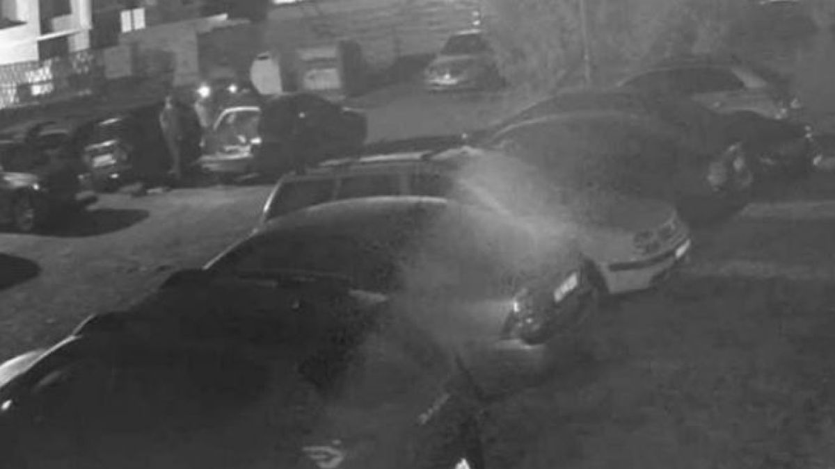 Столичанка спря джипа си в "Дружба" и изпищя на умряло СНИМКИ