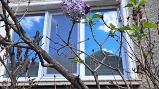 Природна аномалия насред ноември притесни перничани, задава ли се тежка зима СНИМКА  