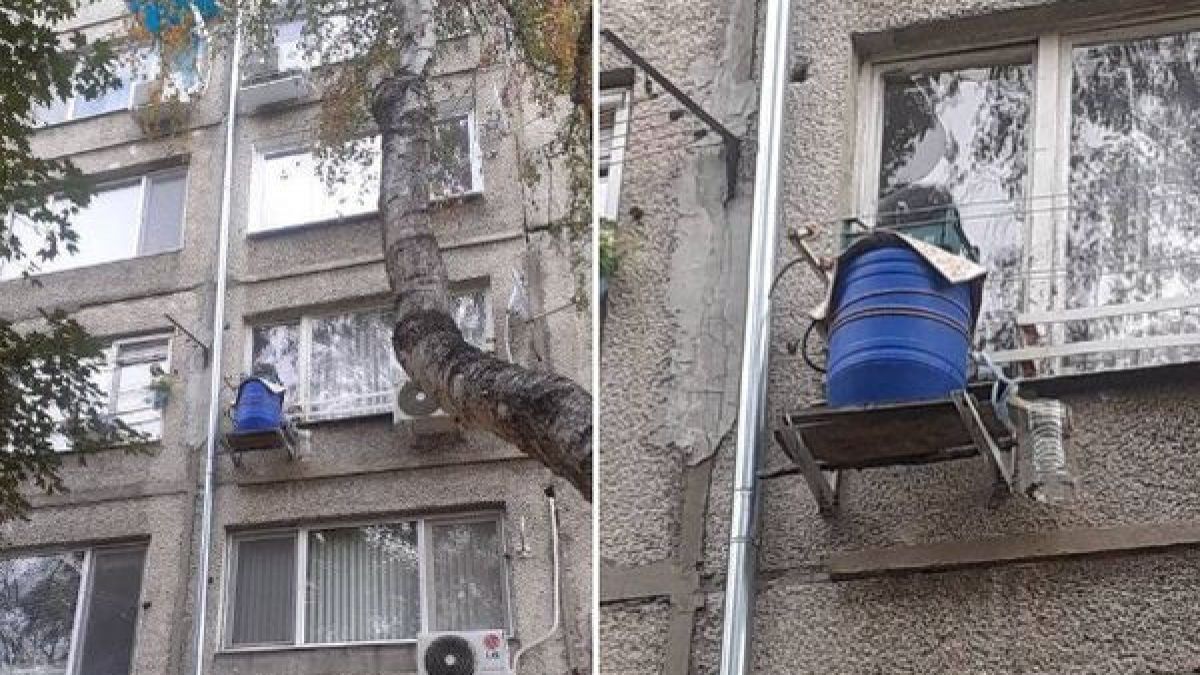 Уникално изобретение за кисело зеле в Пазарджик взриви мрежата