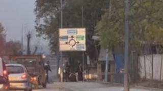 Брутална жестокост пред очите на куп очевидци потресе Пловдив 