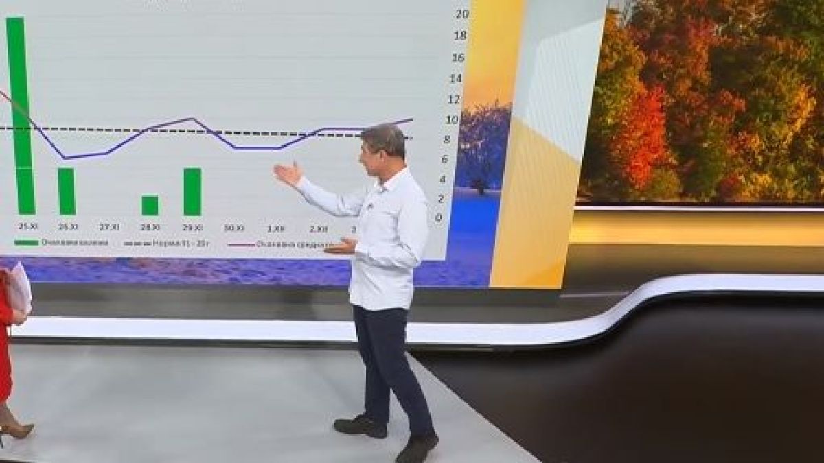 Климатолог: Комбината Никлас и Кристина ни носи мор до часове, живакът пада до минус 10