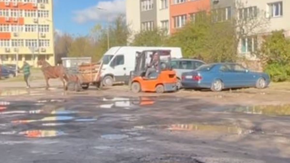 Невиждано: Какво тегли този кон в столичния "Люлин" ВИДЕО