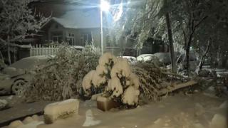 Зимата дойде и стана страшно! Около 35 см сняг в София, а в страната... ВИДЕО