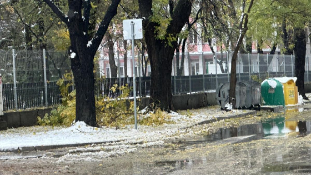 Зловещо: Пловдивчани се вцепениха от ужасяваща гледка в снега в кв. "Кючук Париж" СНИМКИ