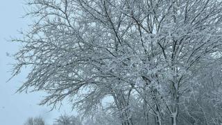 Кметът на Варна: Останете по домовете си!