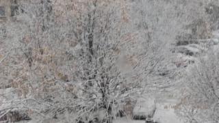 Глобата е 700 лв.! Вижте кой трябва да чисти пред блока 