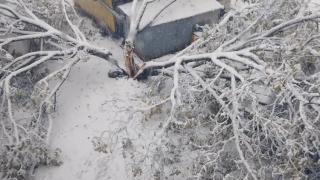 Бедствено положение в тези български градове, няма училище, вода и ток, спират...
